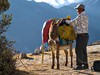 Peru - trekking v Andách